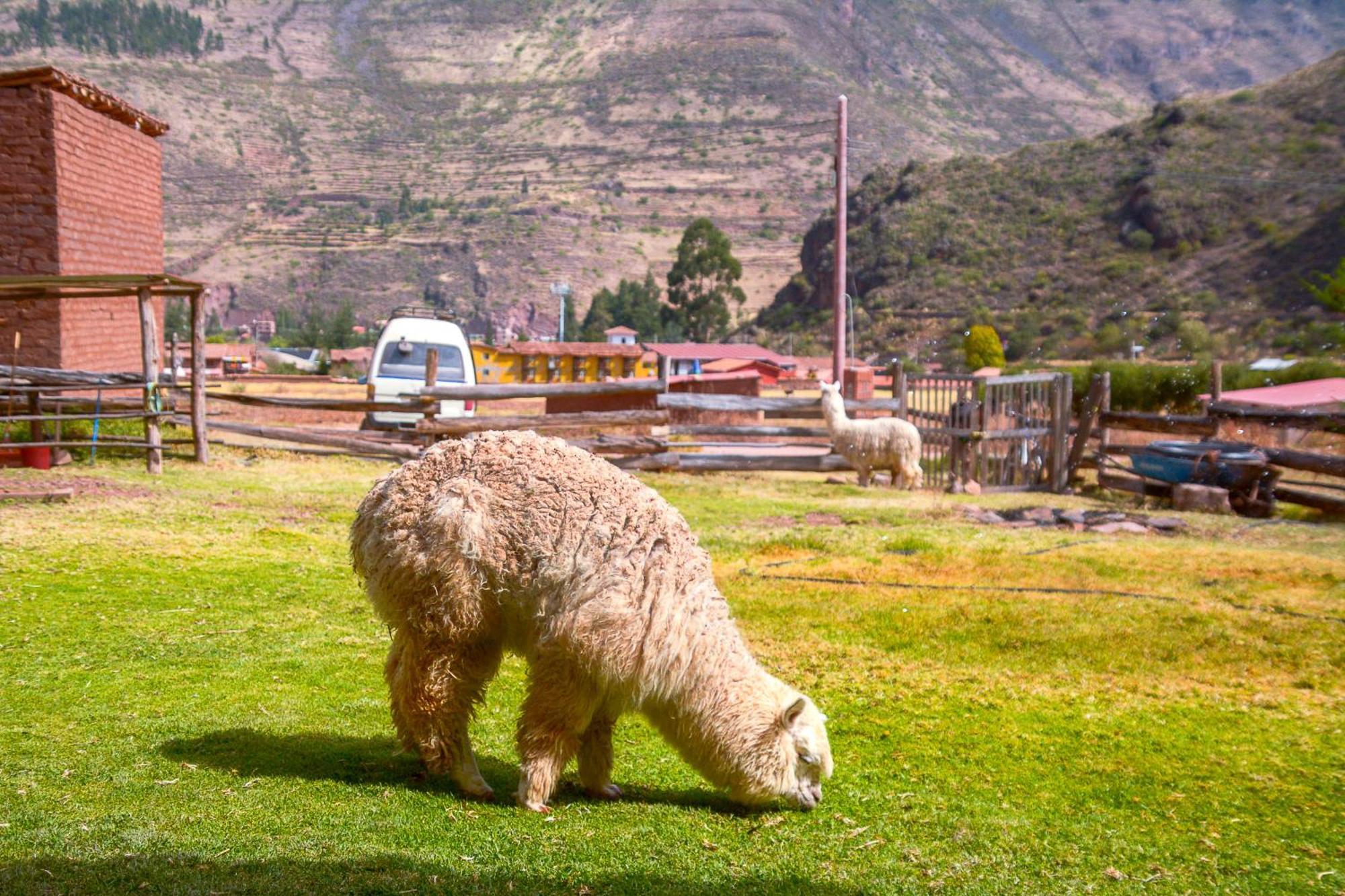 Manchitas Wasi Apartamento Pisac Exterior foto