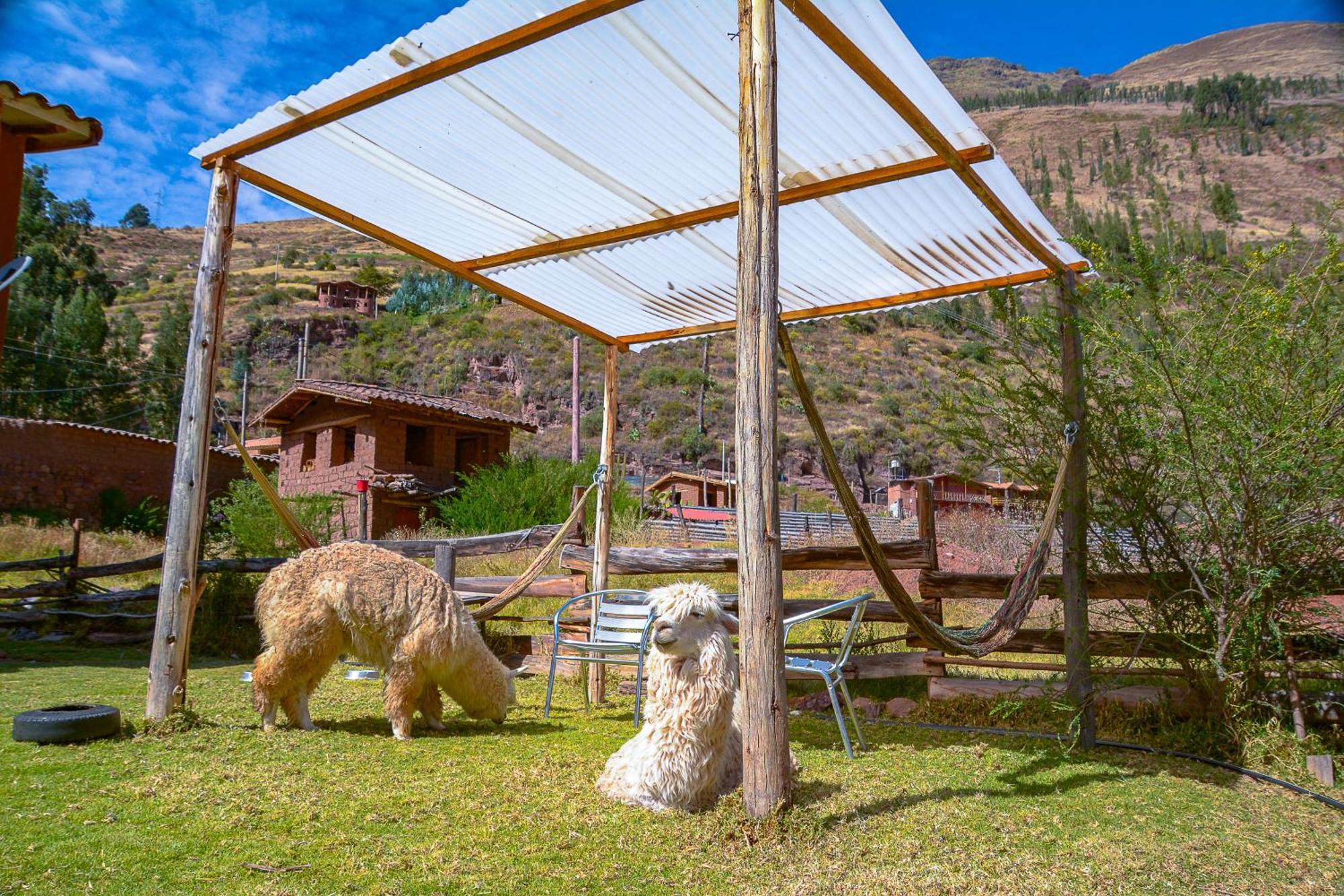 Manchitas Wasi Apartamento Pisac Exterior foto